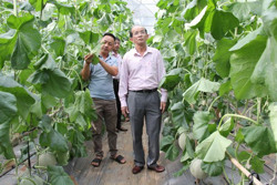 Ngân hàng Chính sách xã hội tỉnh: Tăng kế hoạch dư nợ nguồn vốn Trung ương lên 67 tỷ đồng