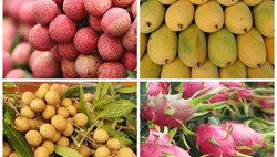 Thương hiệu trái cây Việt Nam