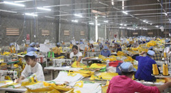 Chỉ số sản xuất công nghiệp tăng hơn 24%