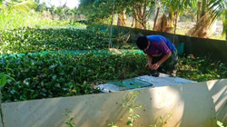 Đa dạng hình thức hỗ trợ thanh niên khởi nghiệp, lập nghiệp