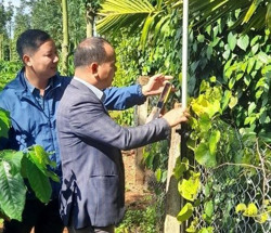 Huyện Cư Kuin: Khảo sát thực địa và đối chiếu trên bản đồ Dự án đường cao tốc Khánh Hòa – Buôn Ma Thuột