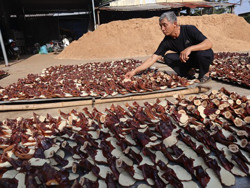 Huyện Krông Ana: Đào tạo nghề cho lao động nông thôn gắn với nhu cầu xã hội