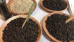 Việt Nam vẫn là quốc gia sản xuất và xuất khẩu hồ tiêu lớn nhất thế giới