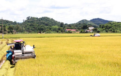 Đổi thay từ xây dựng nông thôn mới ở Krông Ana