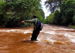 Khó khăn bủa vây ngành lâm nghiệp: [Bài 2] Hàng loạt cán bộ xin nghỉ việc