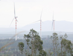 Đề nghị kiểm tra, xử lý 128 dự án đầu tư ngoài ngân sách