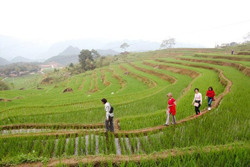 Du lịch tự túc bùng nổ