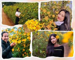 Dã quỳ rực rỡ trên cao nguyên M'nông