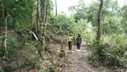 Huyện Krông Bông: Dự kiến quy hoạch 7 mỏ vật liệu xây dựng thuộc Dự án đường bộ cao tốc Khánh Hoà – Buôn Ma Thuột