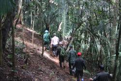 Khó khăn bủa vây ngành lâm nghiệp: [Bài 4] Nhiều tồn tại cần giải quyết