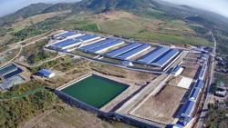 Mở rộng dự án DHN Đắk Lắk: Bước tiến dài của chăn nuôi Tây Nguyên