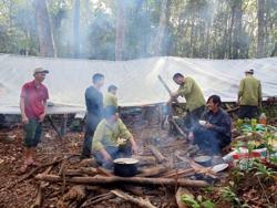 Khó khăn bủa vây ngành lâm nghiệp: [Bài cuối] Không có sinh viên theo học