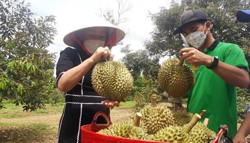 Xuất khẩu nông sản - Cần một chiến lược khoa học