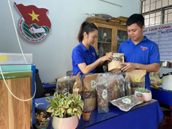 Tổ hợp tác - cơ hội làm giàu cho thanh niên