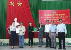 Giải ngân vốn hỗ trợ Dự án sản xuất lúa thương phẩm chất lượng cao tại xã Yang Reh