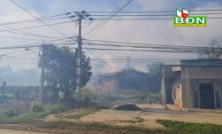 Lò sấy cà phê ở Ðắk Nông lại... nhả khói