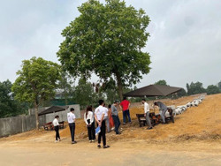 Chờ gì trong sóng gió bất động sản?