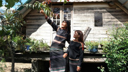 Du lịch MICE: Phục hồi và trỗi dậy sau đại dịch