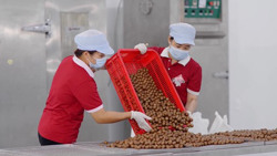 “Hoàng hậu quả khô” chinh phục xứ Phù Tang