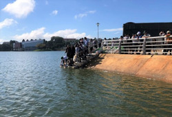 Thả 40.000 cá giống bổ sung nguồn lợi thủy sản hồ Tân An