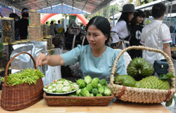 Cô giáo khởi nghiệp từ trà dược liệu