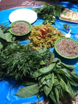 Chủ động phòng tránh bệnh sán lá gan nhỏ