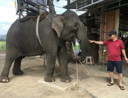 Góp sức thực hiện công tác an sinh xã hội