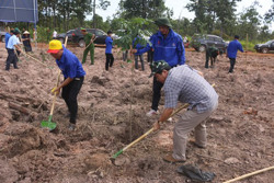 29 tổ chức, cá nhân hỗ trợ tiền trồng và chăm sóc cây xanh