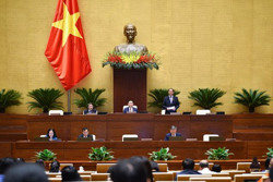 Đấu giá biển số ô tô: Mức giá khởi điểm nào là hợp lý?