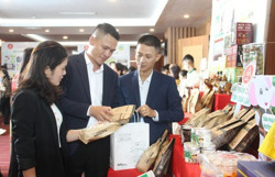 Phát triển sản phẩm OCOP: “Đòn bẩy” từ những lợi thế