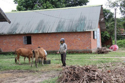 2.258 tỷ đồng đầu tư phát triển vùng đồng bào dân tộc thiểu số
