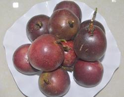 Đắk Nông có mã vùng trồng chanh dây xuất khẩu sang Trung Quốc