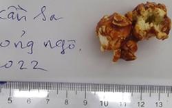 Chính phủ yêu cầu Bộ Công an vào cuộc vụ ngộ độc ma túy trong thực phẩm