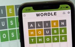 Năm 2022: Mua sắm trực tuyến được người dùng quan tâm