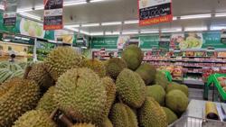 Coi chừng mất "bí kíp" trồng sầu riêng rải vụ vào tay nhà vườn Thái Lan