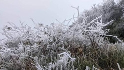 Rét hại và băng giá sẽ xuất hiện tại Bắc Bộ và Bắc Trung Bộ