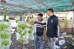 Ấn tượng một vùng quê