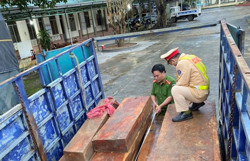 Lập biên bản 1 tài xế vận chuyển gỗ trái phép