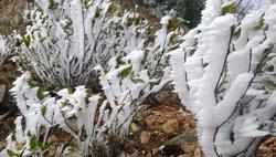 Cảnh giác thời tiết nguy hiểm gây hại nhiều địa phương