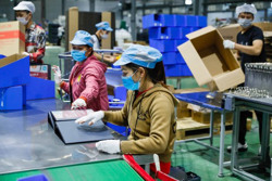 Giữ ổn định cho thị trường lao động