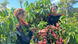 TP. Buôn Ma Thuột: Diện mạo mới từ nông thôn mới