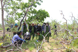 Phát hiện, xử lý 1.121 vụ phạm pháp về kinh tế, môi trường