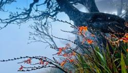 Miền Bắc sẽ đón Noel và Tết Dương lịch 2023 trong giá rét