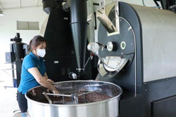 Sản lượng cà phê xuất khẩu đạt kỷ lục