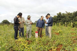Hoàn thành bàn giao mốc dự án thành phần 3 của Dự án đường bộ cao tốc Khánh Hòa – Buôn Ma Thuột