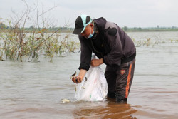 Hỗ trợ phát triển nông, lâm và thủy sản gắn với tái cơ cấu ngành nông nghiệp