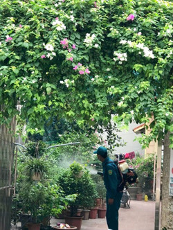 Số ca mắc sốt xuất huyết giảm