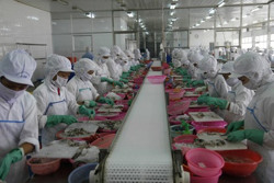 Ấn tượng xuất khẩu nông sản 2022