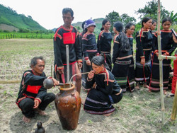 Mừng lúa mới với người Êđê