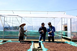 Toàn tỉnh thành lập mới 72 hợp tác xã